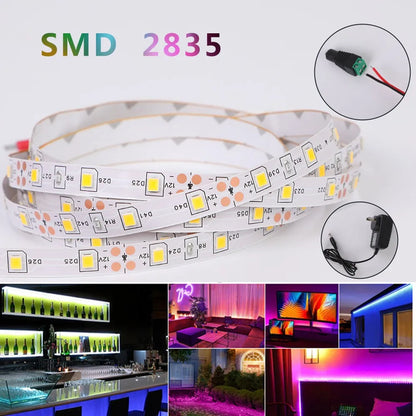 Tira de luces LED de neón RGB, 5M, resistente al agua, ideal para decoración de festividades y habitaciones