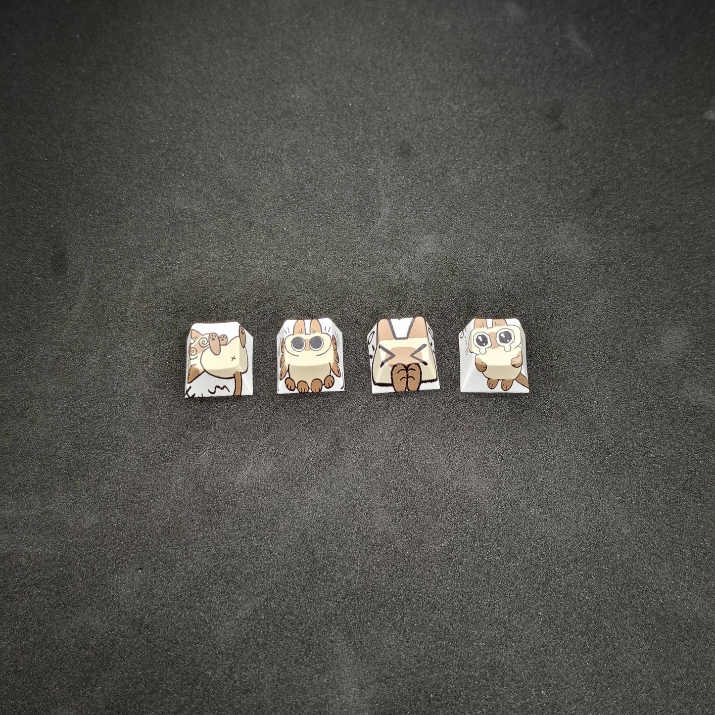 Teclas PBT de Gato Siamés, Perfil de Cereza R4, Sublimación de Tinte de 5 Lados para Interruptores Cherry Gateron MX, Teclado Mecánico, 4 Unidades